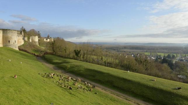 Les éoliennes seraient visibles à partir du château de Coucy, selon les services de l’Etat et la commission départementale Nature, Paysages et Environnement.