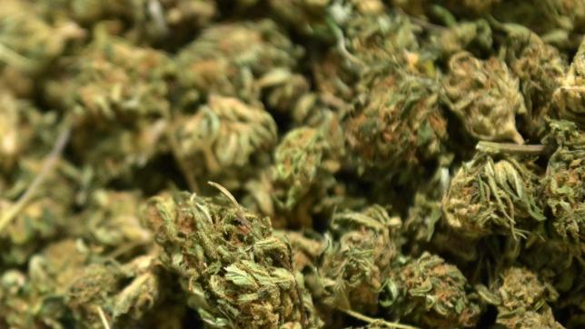 Les 47 kilos de cannabis se répartissaient entre de l’herbe et de la résine.