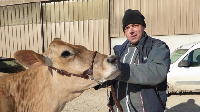 Loïc Charlot et sa vache Nectarine en plein préparatif avant le départ au salon de l’agriculture.