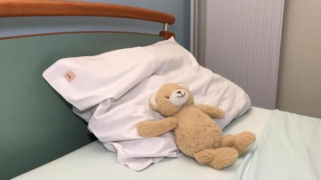 Le pôle de pédopsychiatrie publique dans l’Aube a une nouvelle unité d’hospitalisation pour mineurs depuis quelques semaines et souhaite développer les modes de prise en charge.