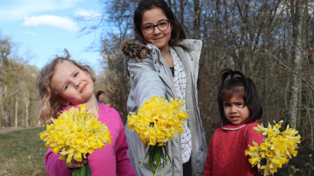 De gauche à droite, les deux sœurs, Lola, 4 ans et Olivia, 11 ans, et leur cousine, Elhena, 4 ans, étaient au pied levé pour ramasser les jonquilles. « Regardez mon bouquet  ! Il est beau non ? », s’écrie Elhena.