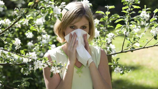 Ces trente dernières années, le nombre de personnes allergiques est passé de 5 à 30%. 1 personne sur 3 est atteinte de rhinite allergique.