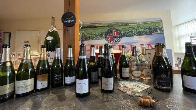 Les 19 cuvées qui seront proposées lors de la Route du champagne en fête, les 29 et 30 juillet, à Celles-sur-Ource.