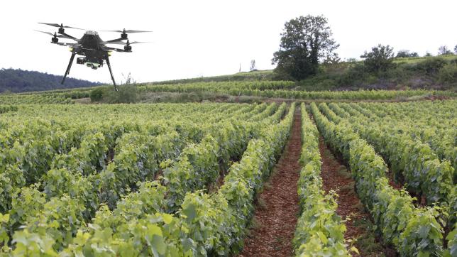 Depuis 2016, Scanopy a couvert plus de 20 000 hectares de vignes en France pour 30 millions de ceps cartographiés.