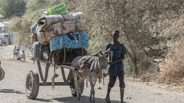 Un jeune homme fuit le Soudan pour aller en Ethiopie avec son âne et ses affaires.