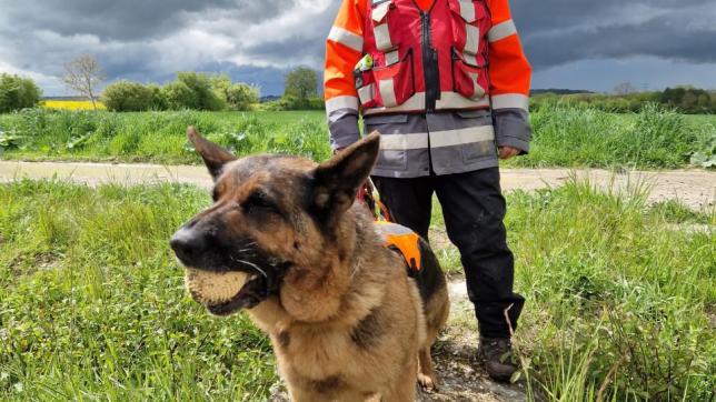 François Bourdeau et sa chienne Nina ont traqué les fuites d’eau sur le réseau potable à Amiens.