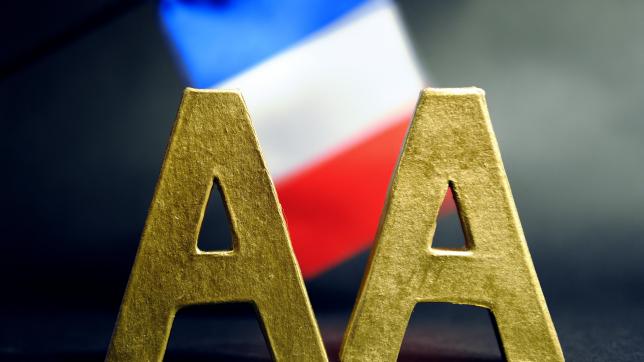 La France affiche des résultats moins bons que les autres pays notés dans la même catégorie, a relevé l’agence Fitch. Archives AFP