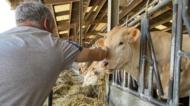 Malgré les difficultés économiques, Pierre peut continuer à exercer son activité d’éleveur de vaches à viande.