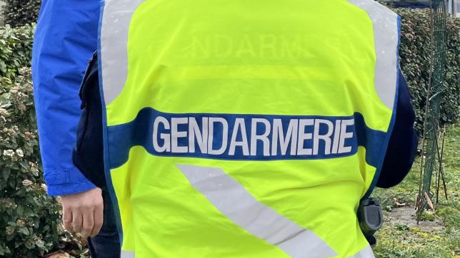 Les gendarmes de Bar-sur-Aube se sont immédiatement rendus sur place.