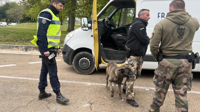 Un chien spécialisé dans la recherche de stupéfiants, d’armes et de billets a participé aux contrôles des gendarmes.