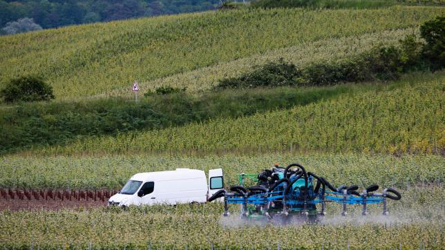 Des tracteurs équipés de pulvérisateurs. Une image commune dans les coteaux à cette époque de l’année. Seule la maturation du raisin protégera durablement la vigne du mildiou.