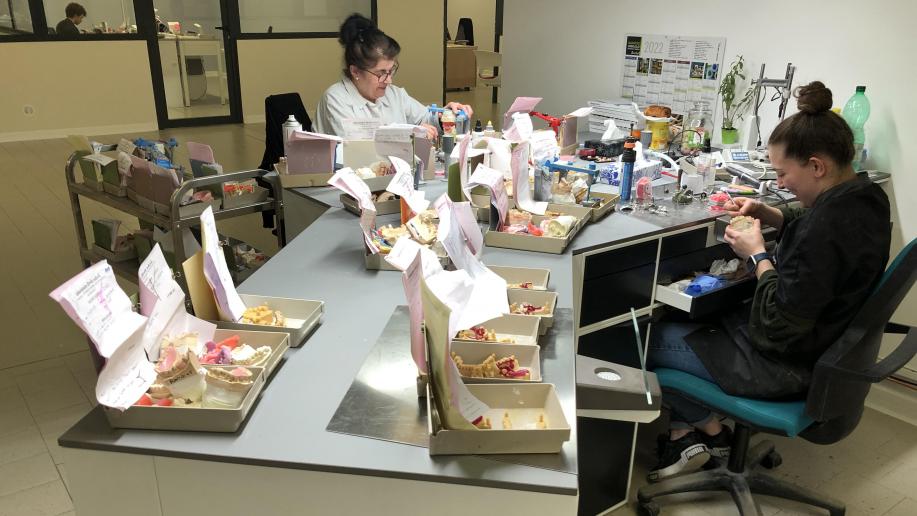 RomillysurSeine Le laboratoire de prothèse dentaire Orviz voit