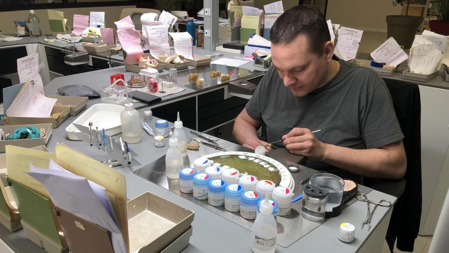 RomillysurSeine Le laboratoire de prothèse dentaire Orviz voit