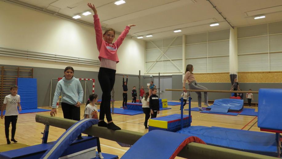 Le sport scolaire vanté au collège PaulPortier de BarsurSeine