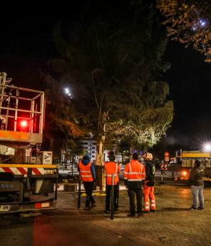 Le montage du sapin de No&euml;l s&rsquo;est d&eacute;roul&eacute; sans encombres.