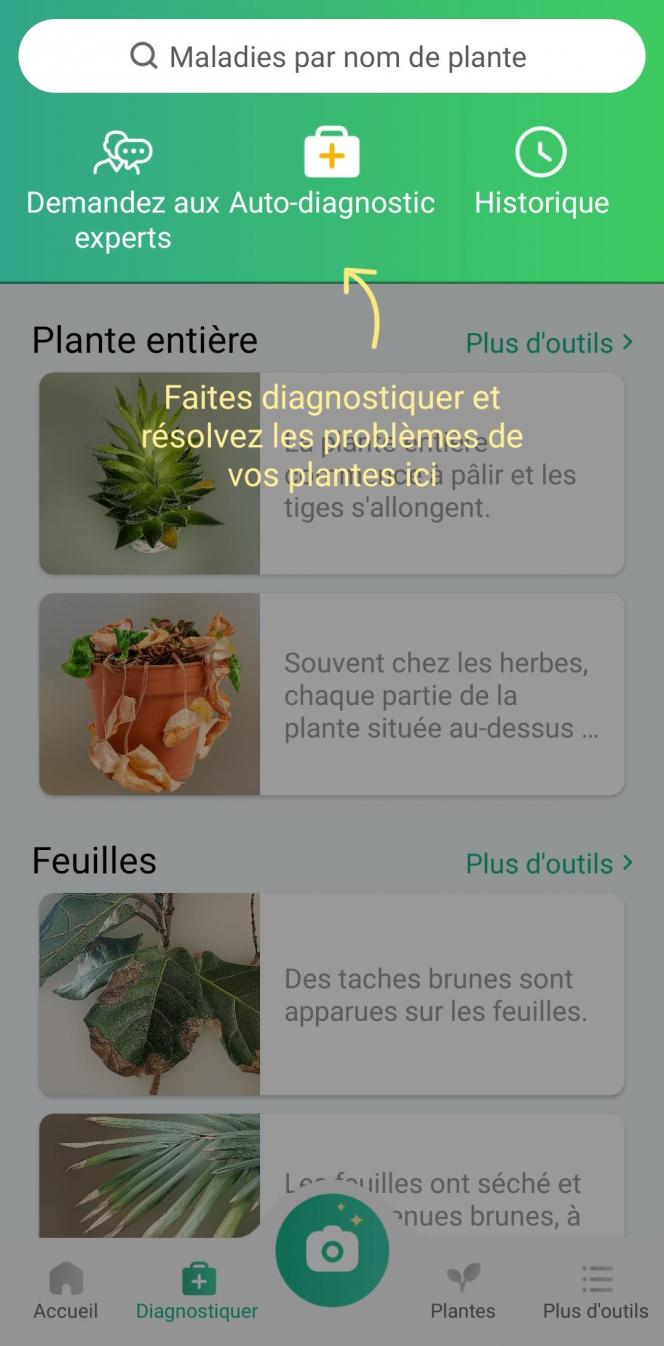 APPLI. PictureThis pour devenir incollable sur les plantes