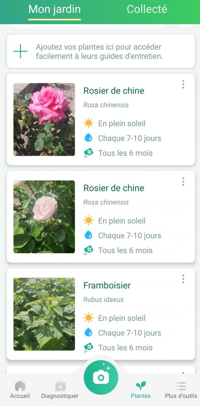 APPLI. PictureThis pour devenir incollable sur les plantes