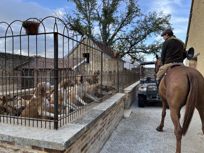 Les chiens savent qu’ils vont sortir.