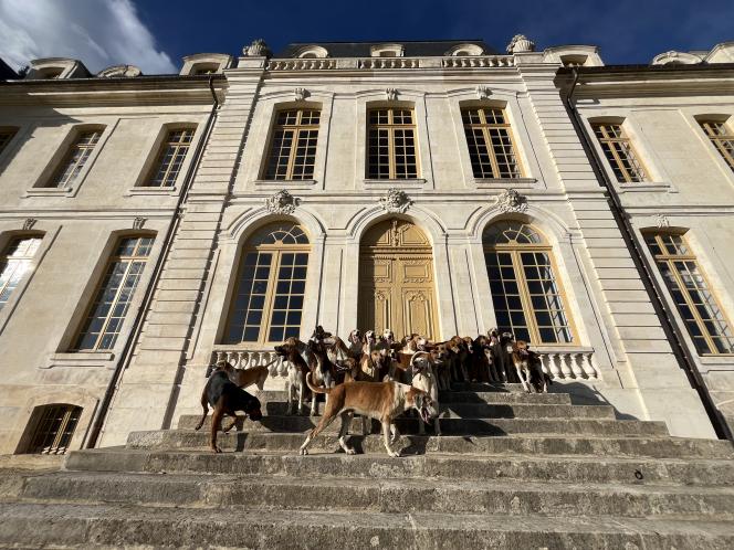 Une photo de famille avant d’aller gambader au son de la trompe.